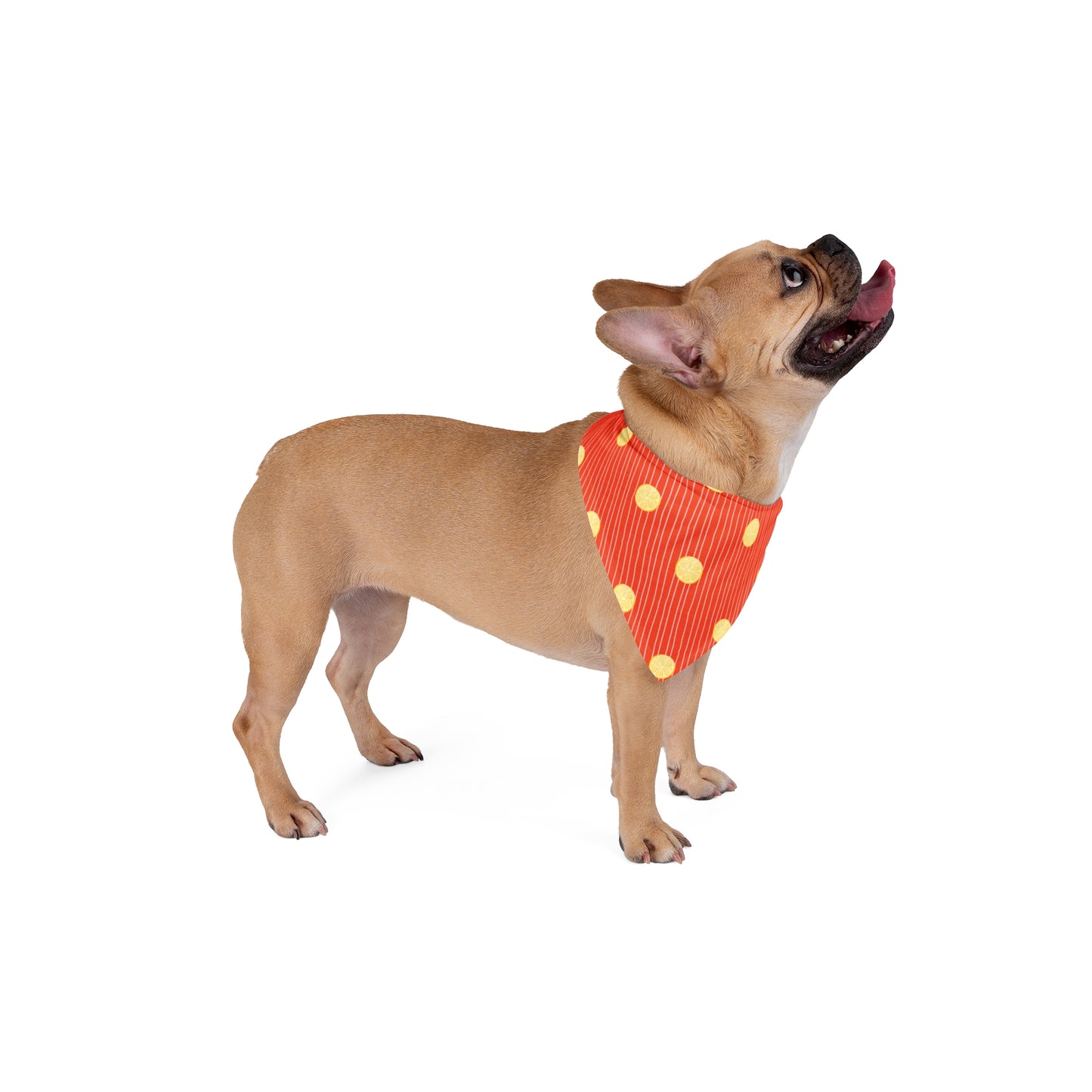 Lemon Love Pet Bandana